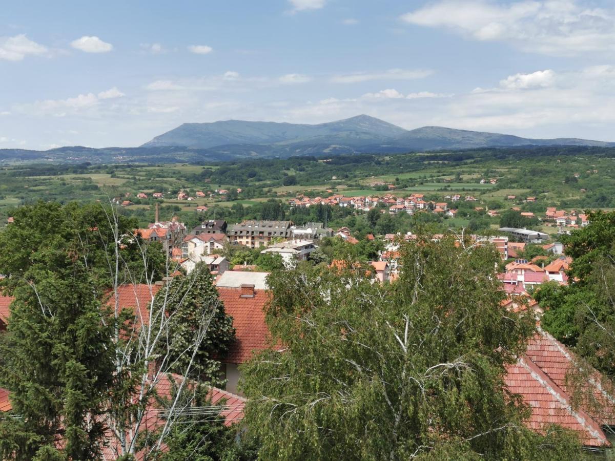 Vila Breza Сокобаня Экстерьер фото