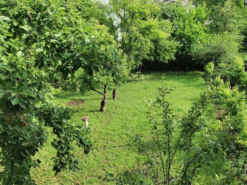 Vila Breza Сокобаня Экстерьер фото