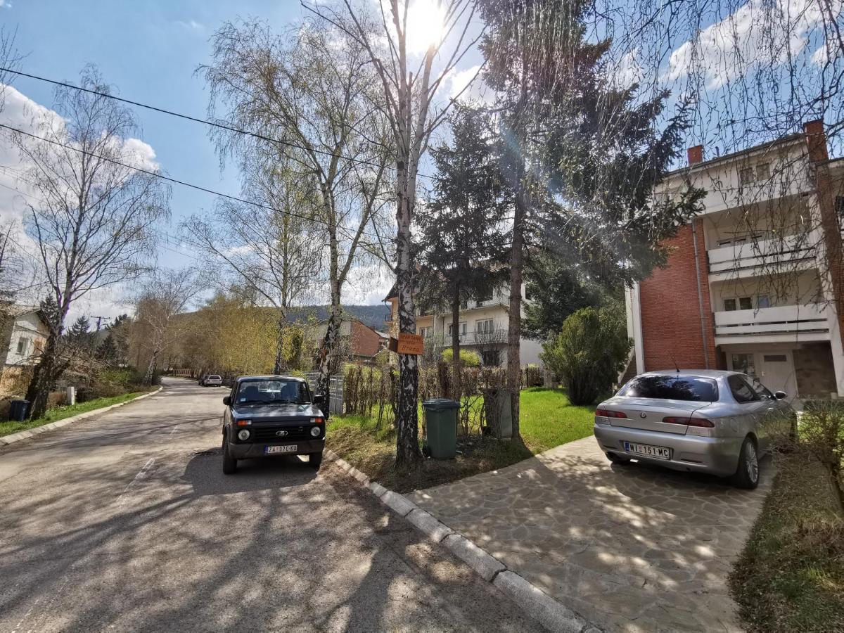 Vila Breza Сокобаня Экстерьер фото