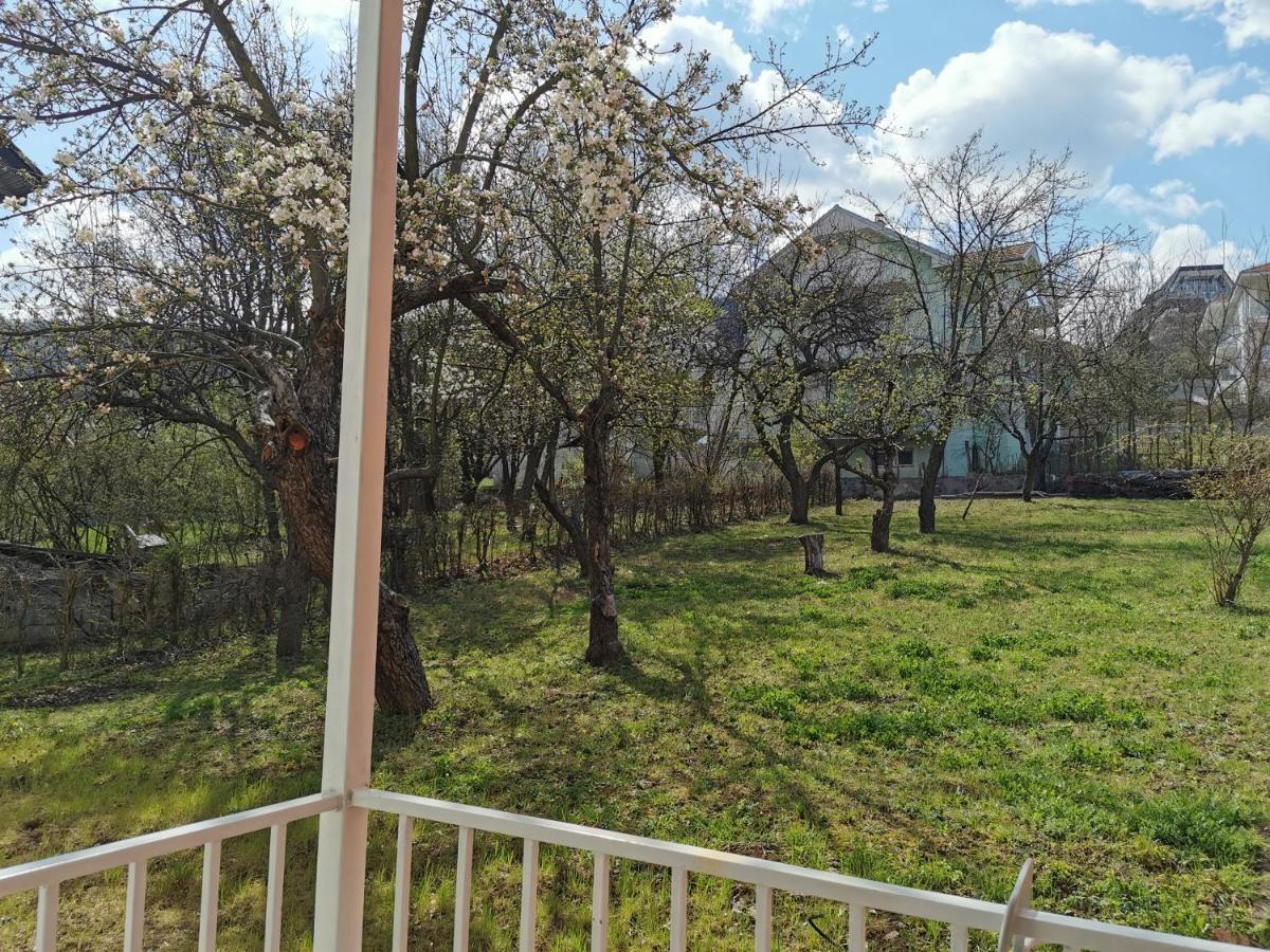 Vila Breza Сокобаня Экстерьер фото