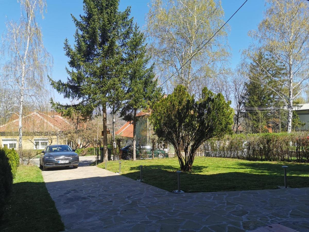 Vila Breza Сокобаня Экстерьер фото